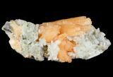Peach Stilbite Crystal Cluster on Quartz Chalcedony - India #147374-1